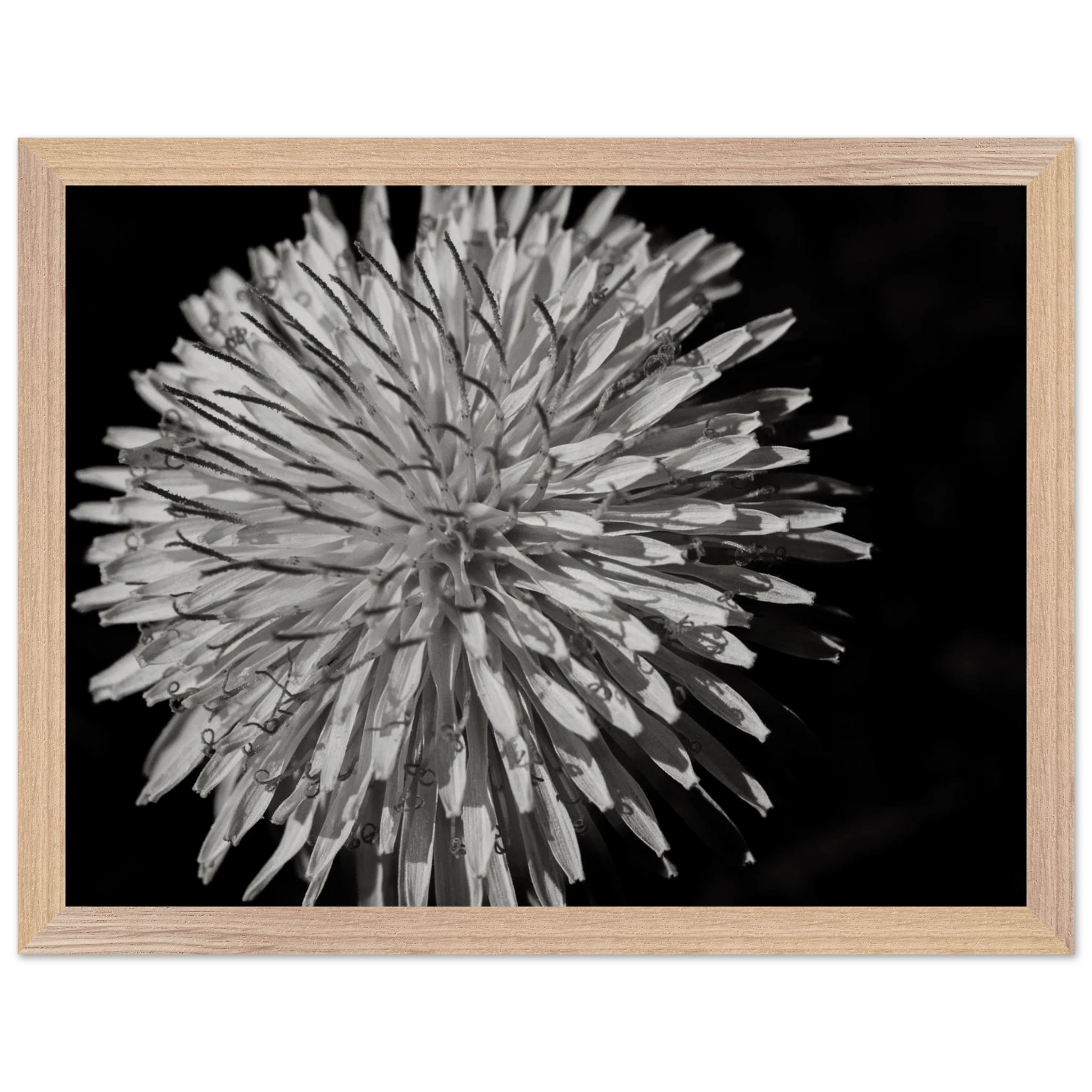 49d10d75-074f-4019-96ff-fa1232f114f0