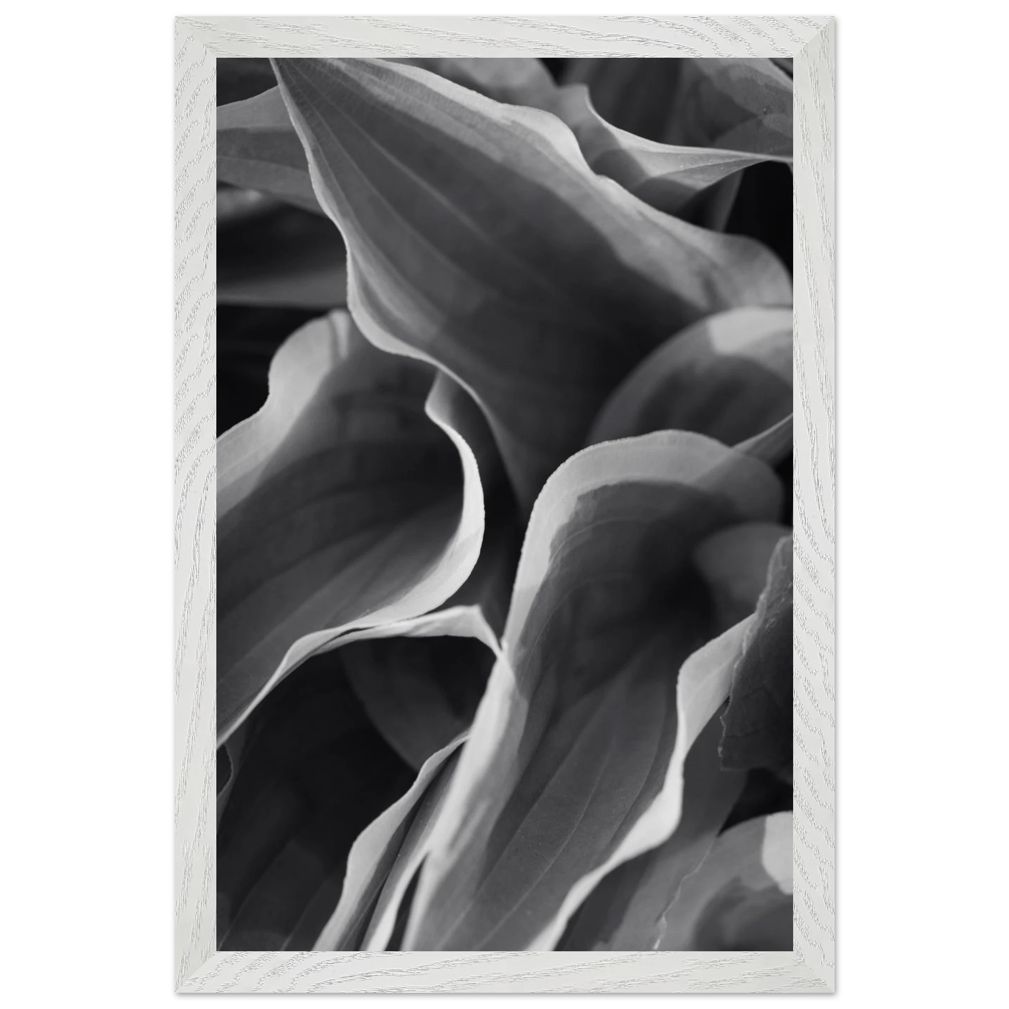 49ee9405-0672-4e96-a2ee-4852ef84e361