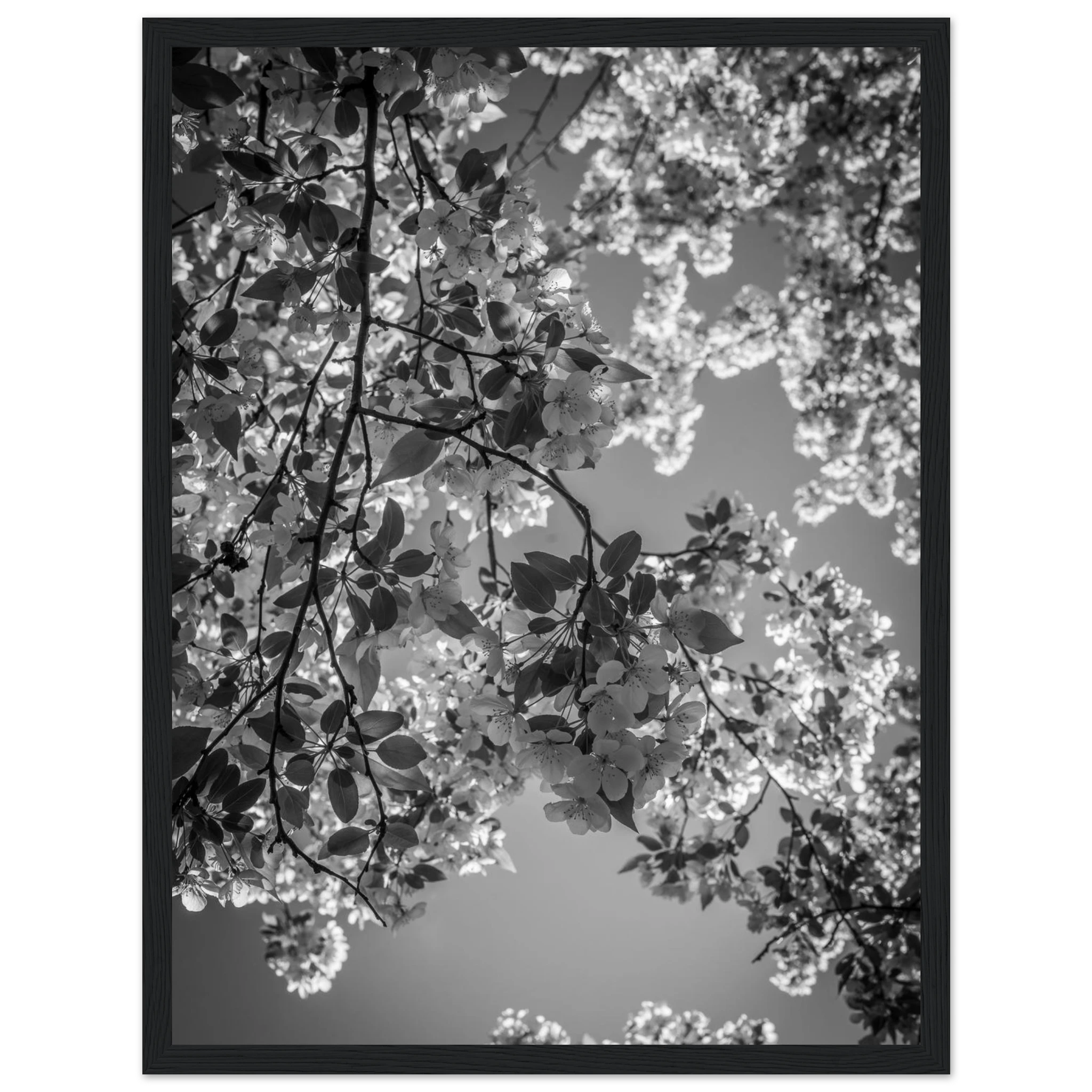 4b2fa838-51c5-4386-aaf4-b33b146f748c