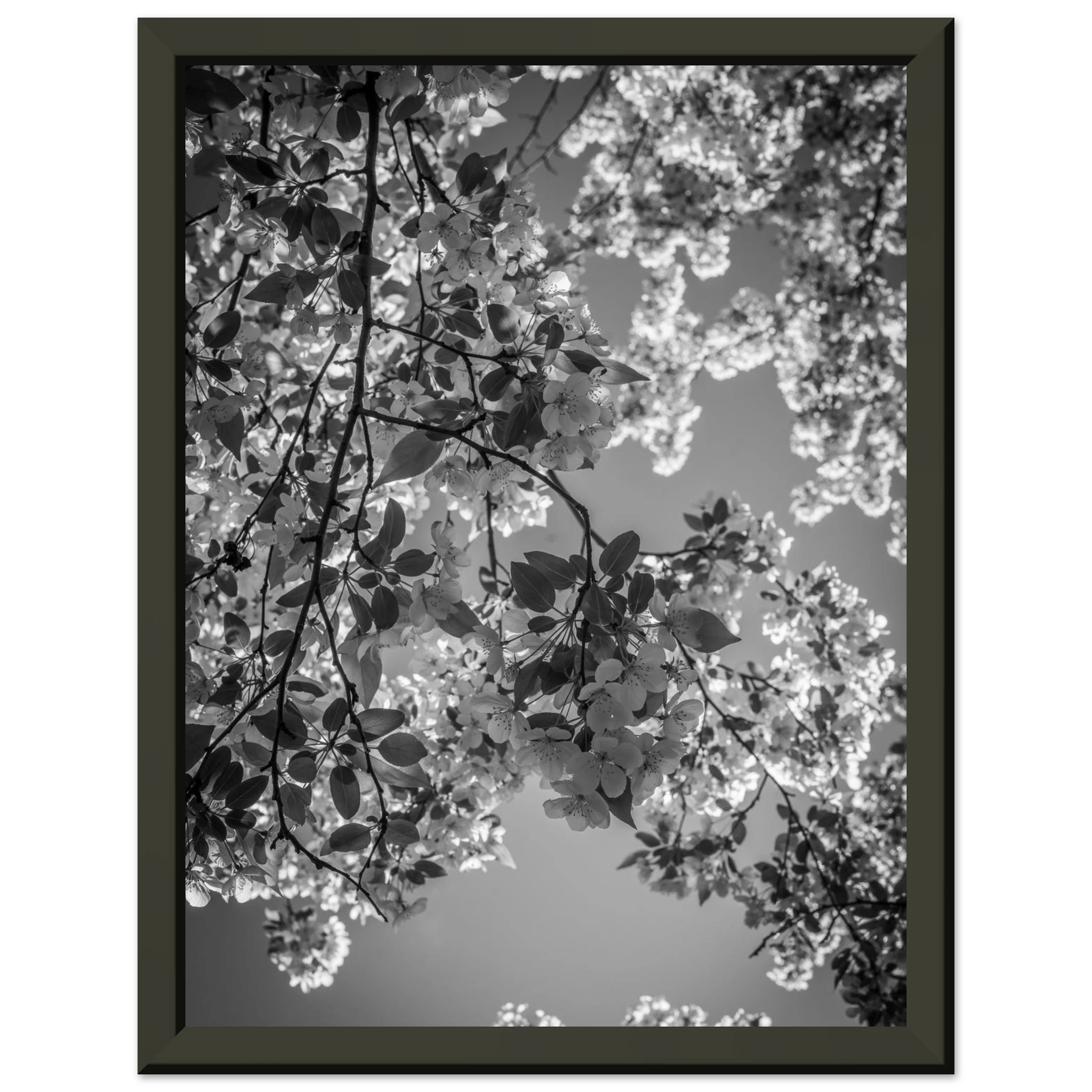 4b838952-8eb9-4232-919a-a74de99e2b98