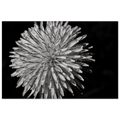 4d3e71c8-0d78-4044-a3c4-cf270ef8a0eb