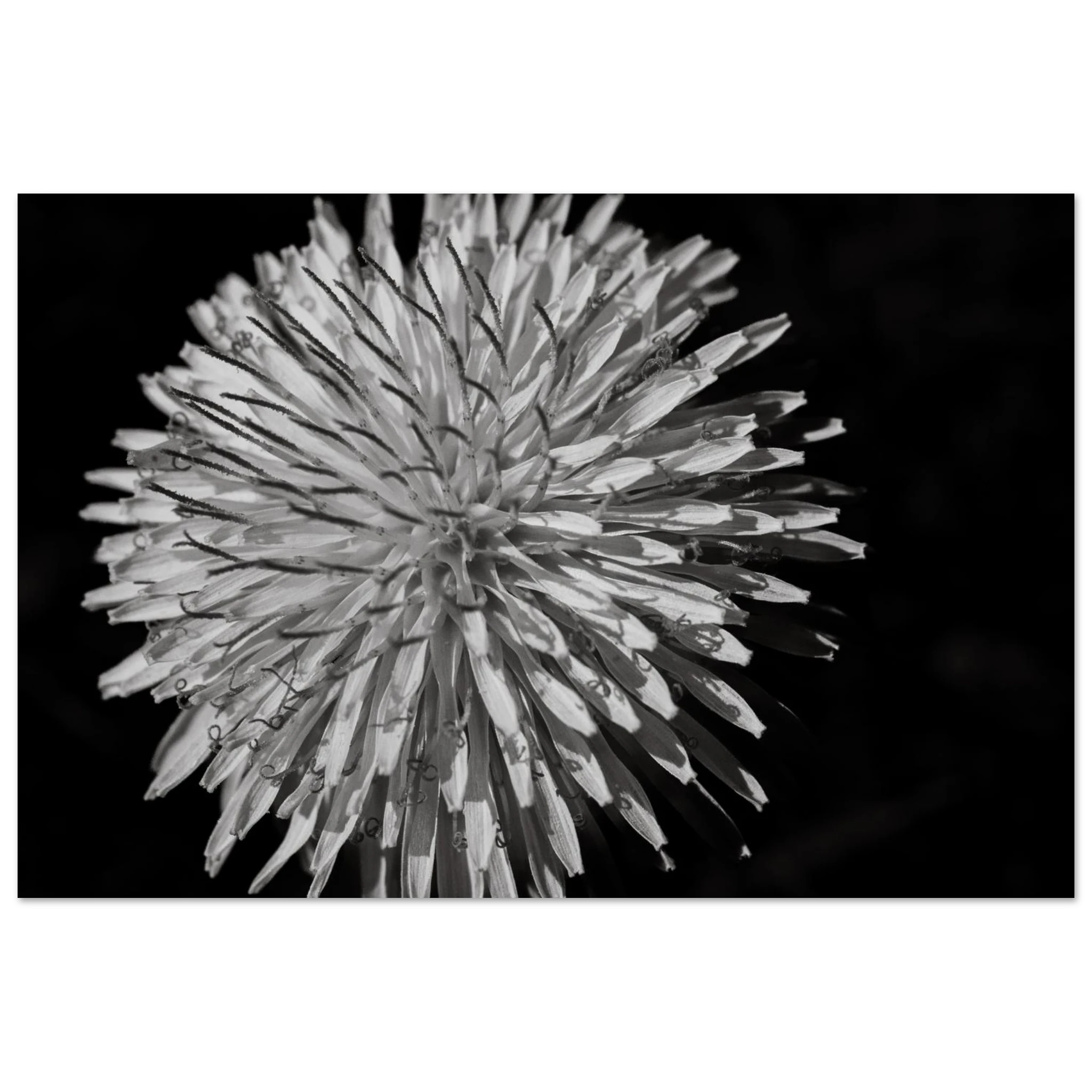 4d3e71c8-0d78-4044-a3c4-cf270ef8a0eb