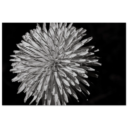 4d3e71c8-0d78-4044-a3c4-cf270ef8a0eb