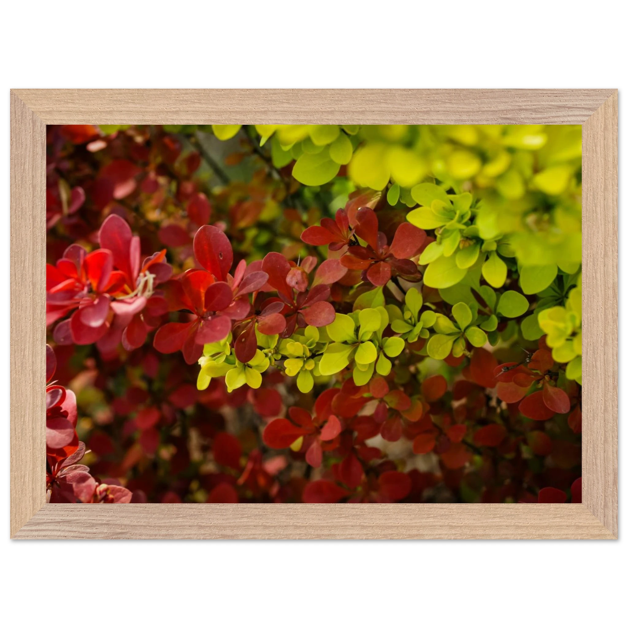4d4570b4-f6c3-4128-af74-6413773a8382