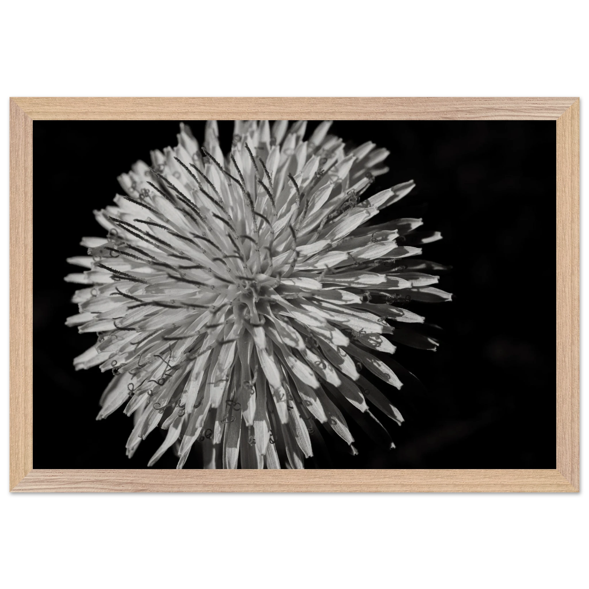 4d8b23a7-2aa7-492e-acd9-ef825c89f4e3