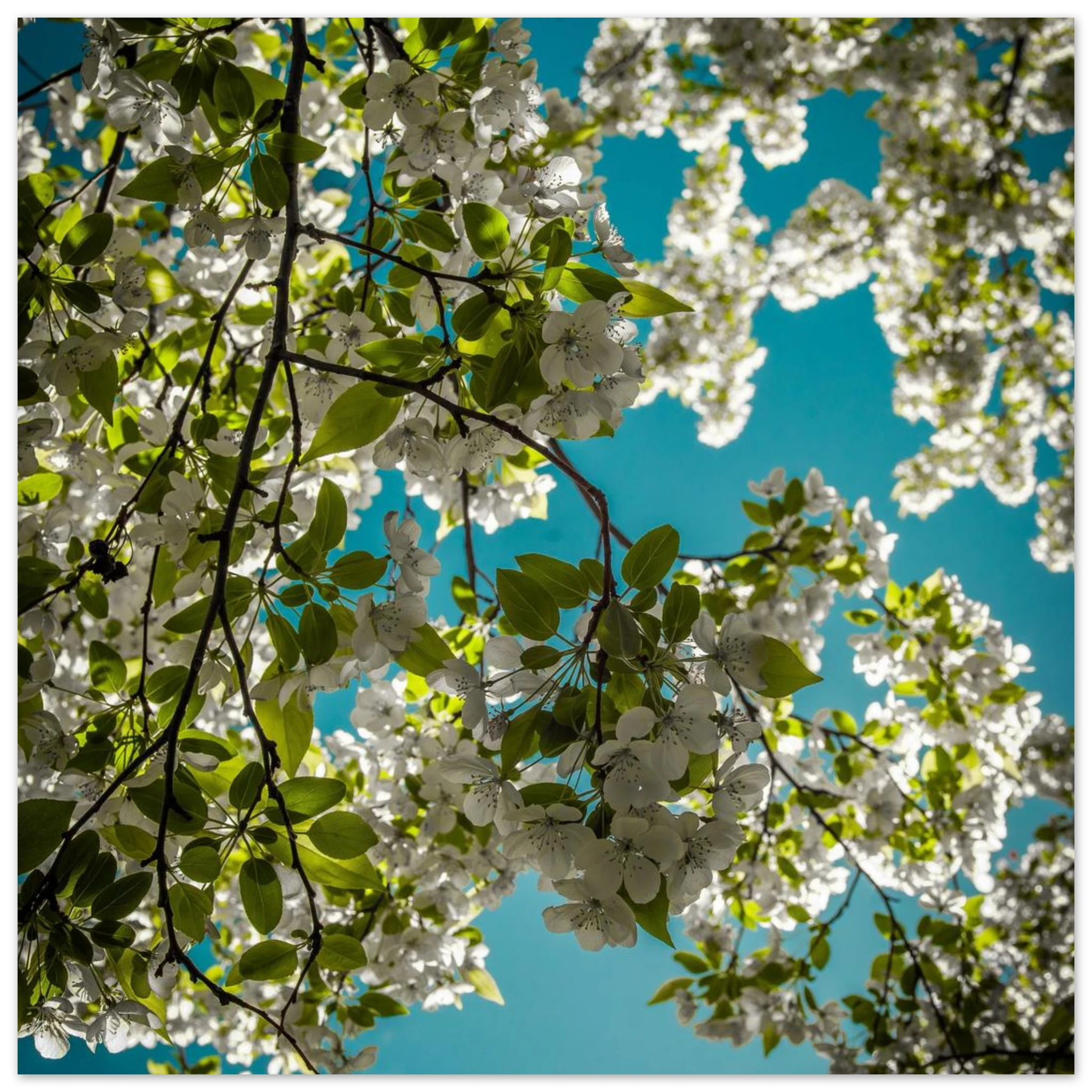 4e203119-462e-496b-a3af-42c8c27c4aac
