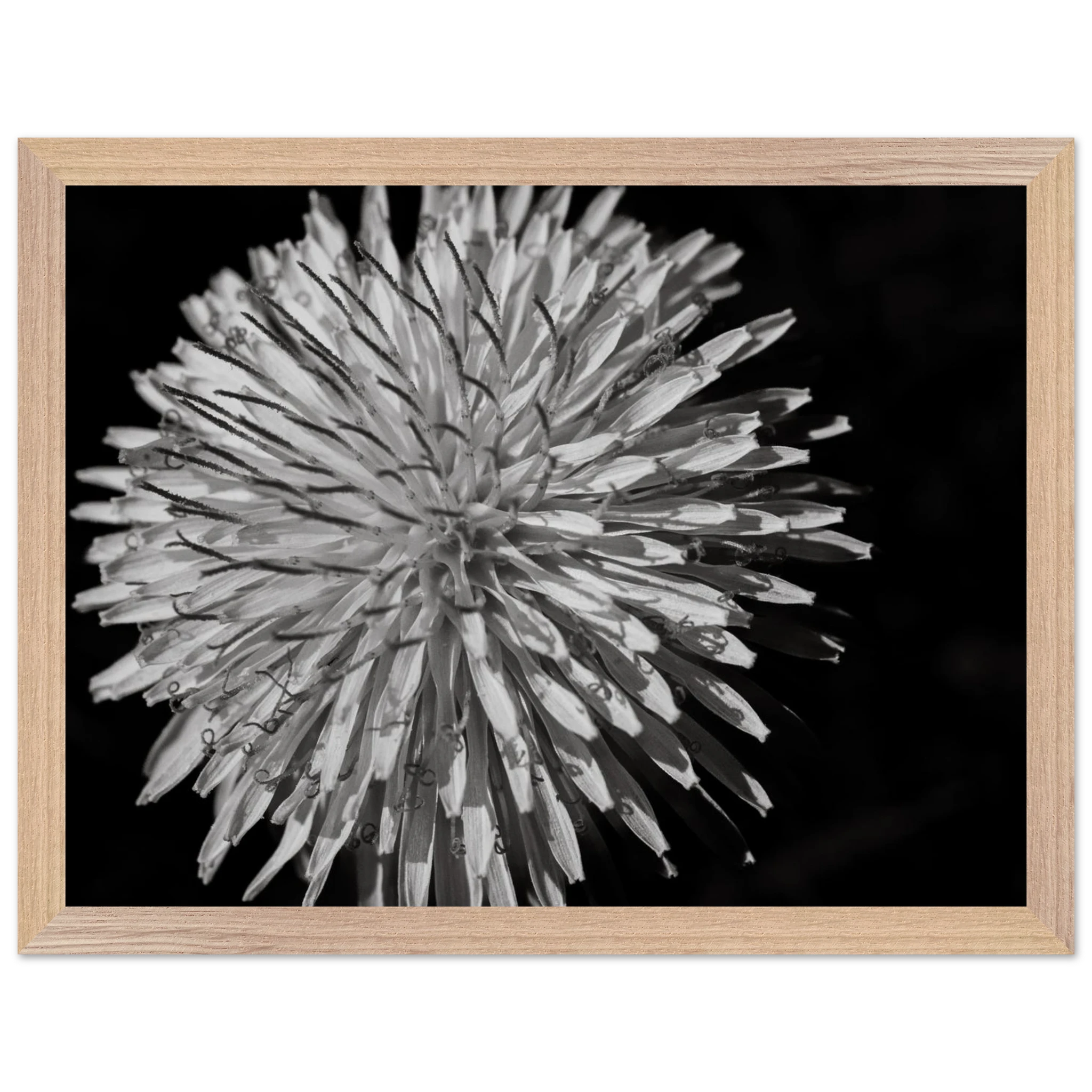 4ee52f37-6815-44ec-ab99-56e72ec1286e