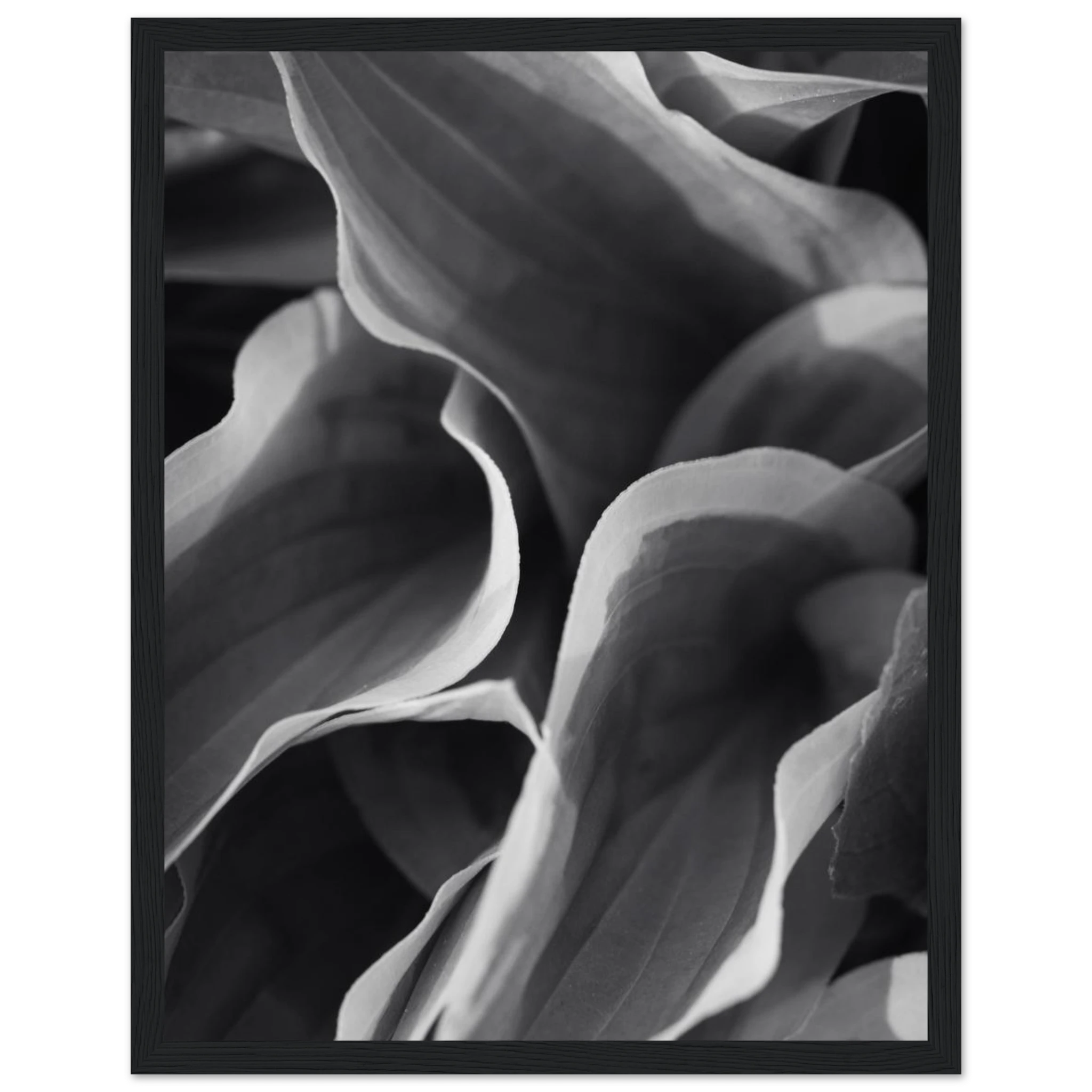 4f03bb51-632a-40e6-9c51-8cfb5553e191