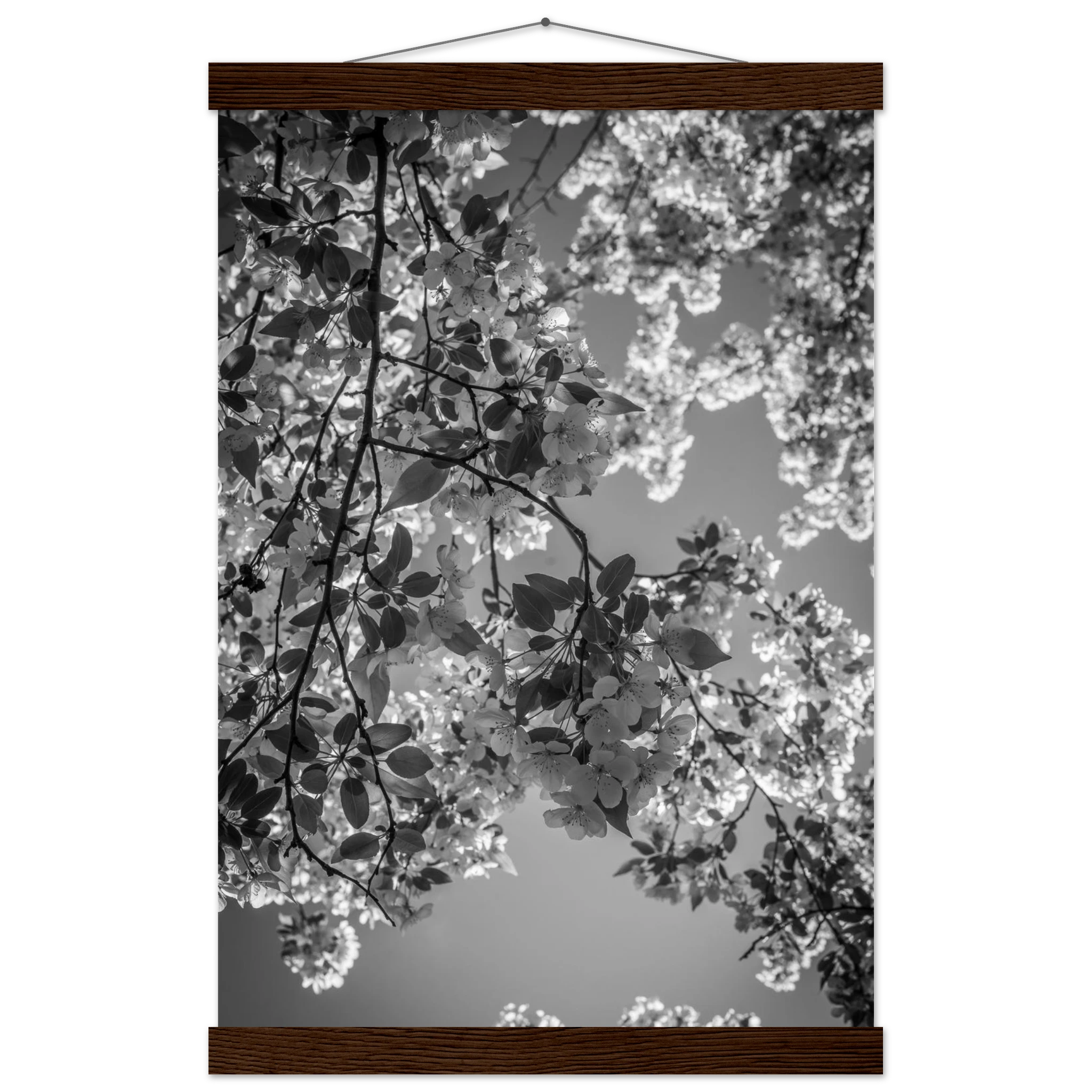 4f562d80-61e6-4b2d-b106-ddb1d407edfe
