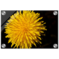 519f536a-ed7c-4697-bb40-a7492bf27e68