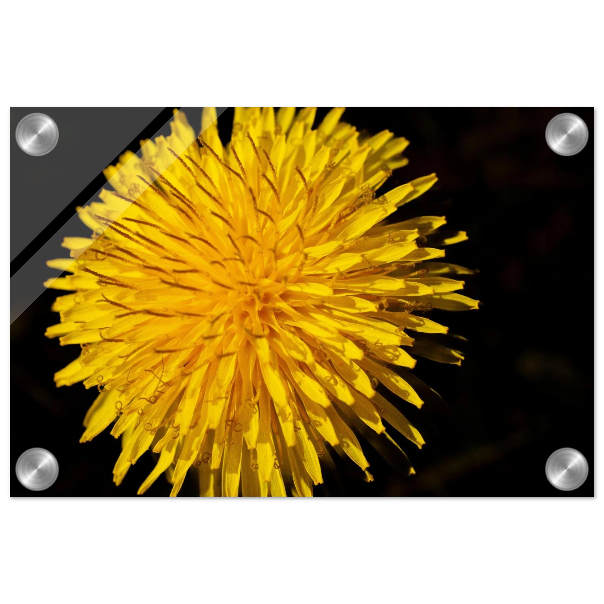 519f536a-ed7c-4697-bb40-a7492bf27e68