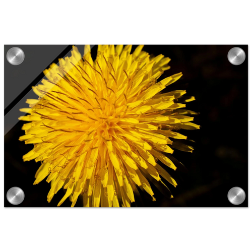519f536a-ed7c-4697-bb40-a7492bf27e68