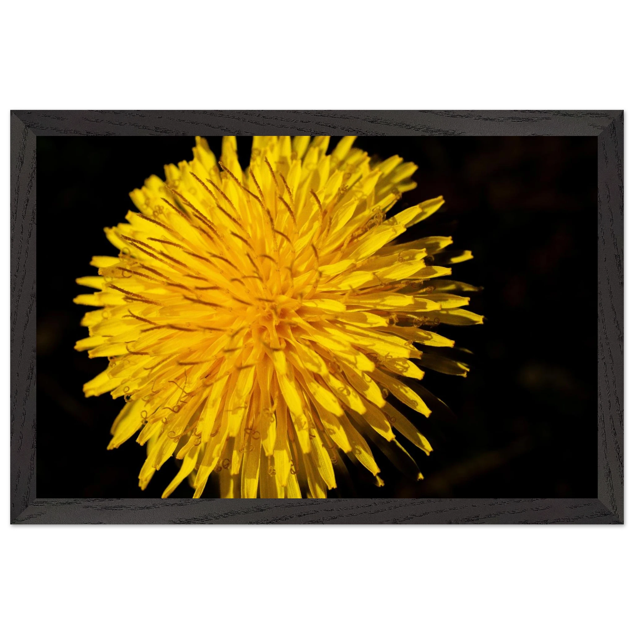 51f553a5-6ae4-45b2-bd6a-981efb7d5748