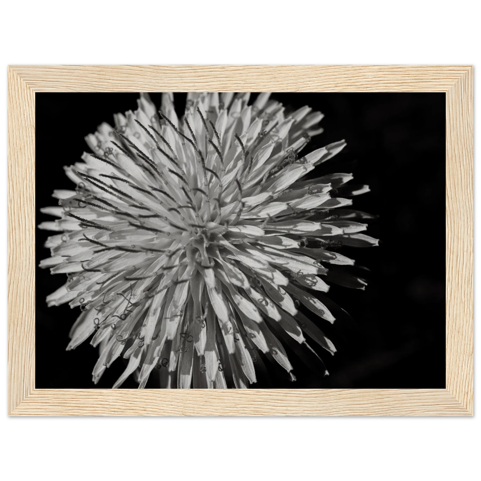 5219aa5d-6965-4723-9528-4b46f68a0f14