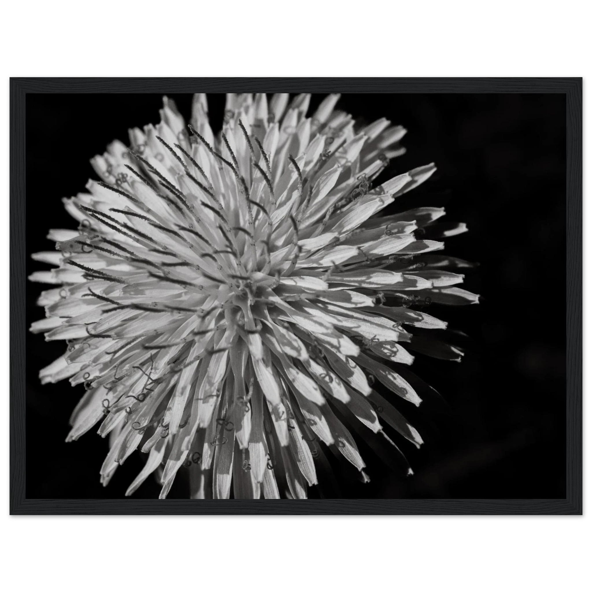 536d6ef8-54dc-4947-ac00-a54f98eb37ac