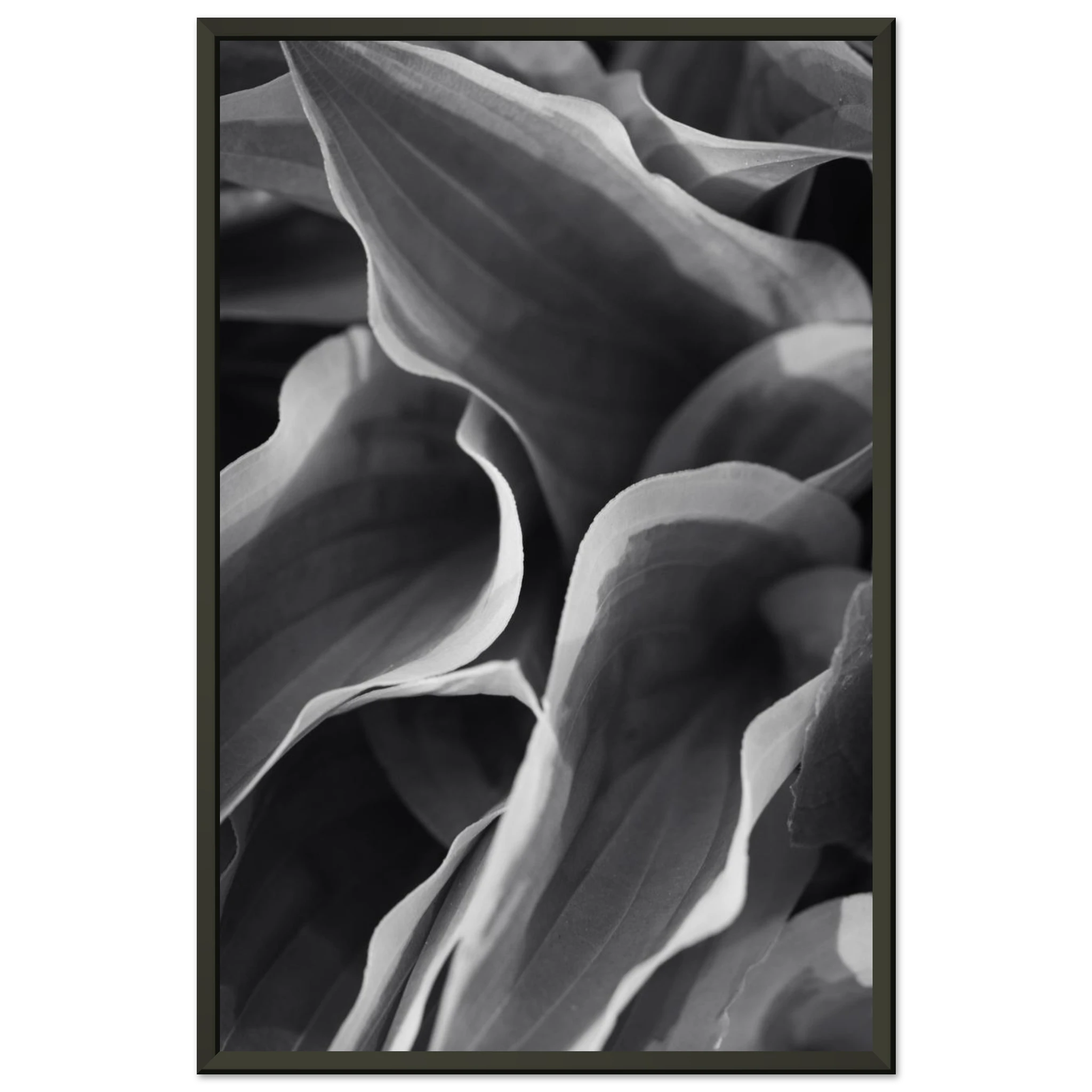 53fa9756-c004-4d1d-ae66-f91e80b4fd7b