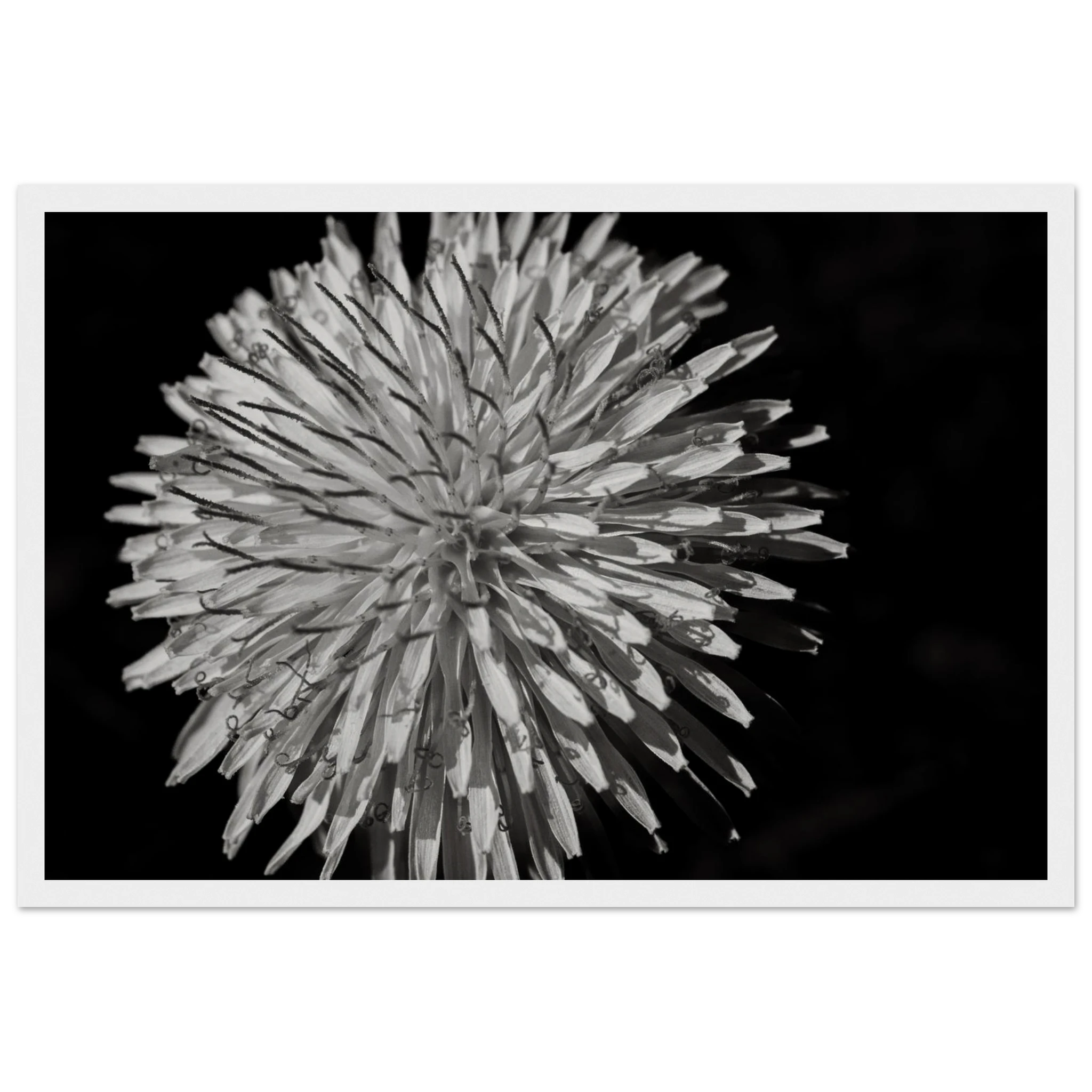 5427c921-8e20-48cc-ba48-0c0e6bf785e2