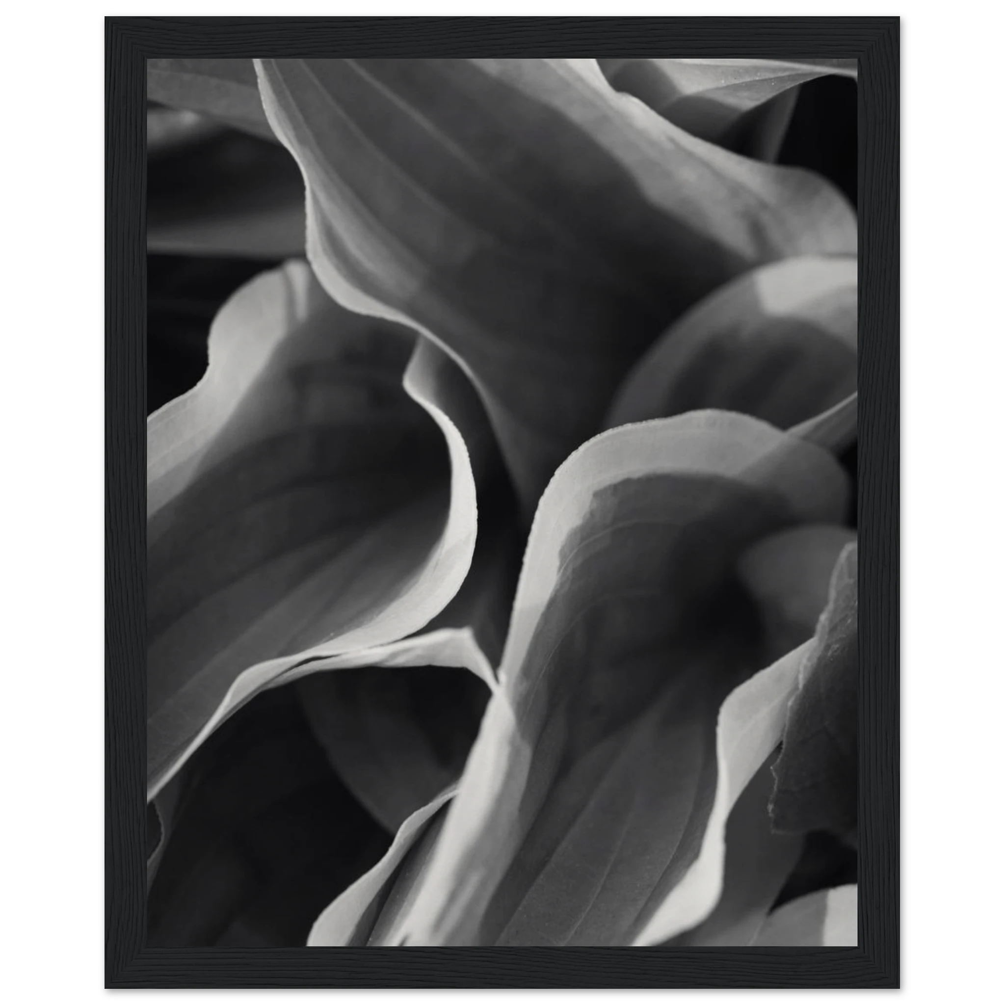 57010d78-6ae9-4984-bd94-02c9477c2777