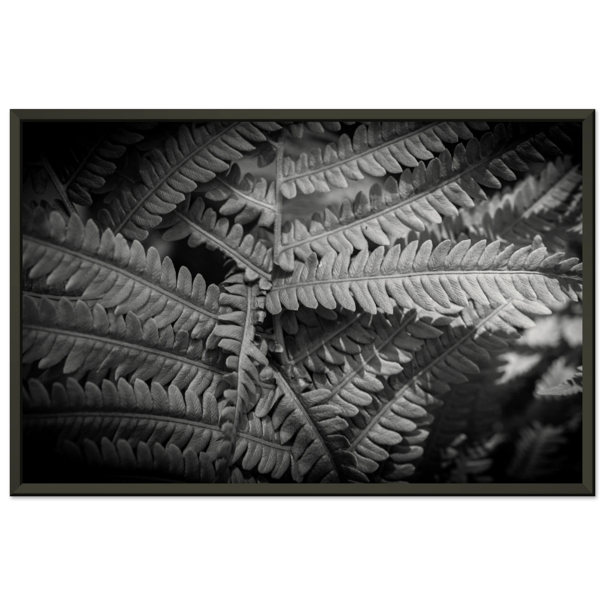 57b75256-02b7-4b52-a097-b2694bc29f29