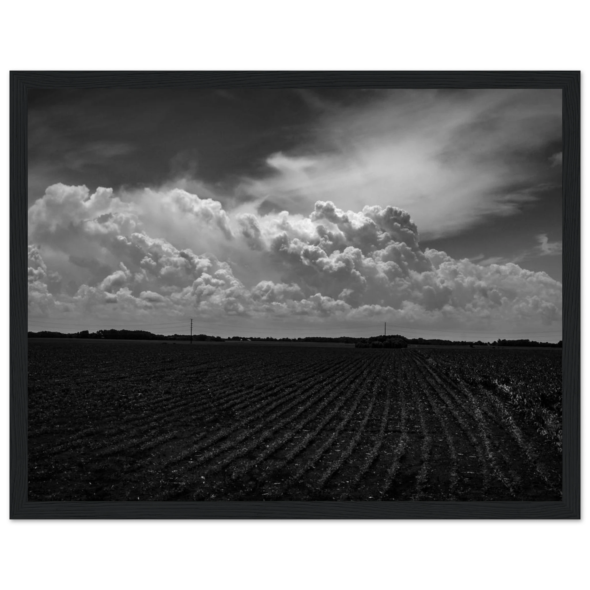 59f9e23c-7742-48f5-95c0-ebb619393f01
