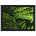 5a0ec393-5bf5-4ecb-ac94-268077e1a162