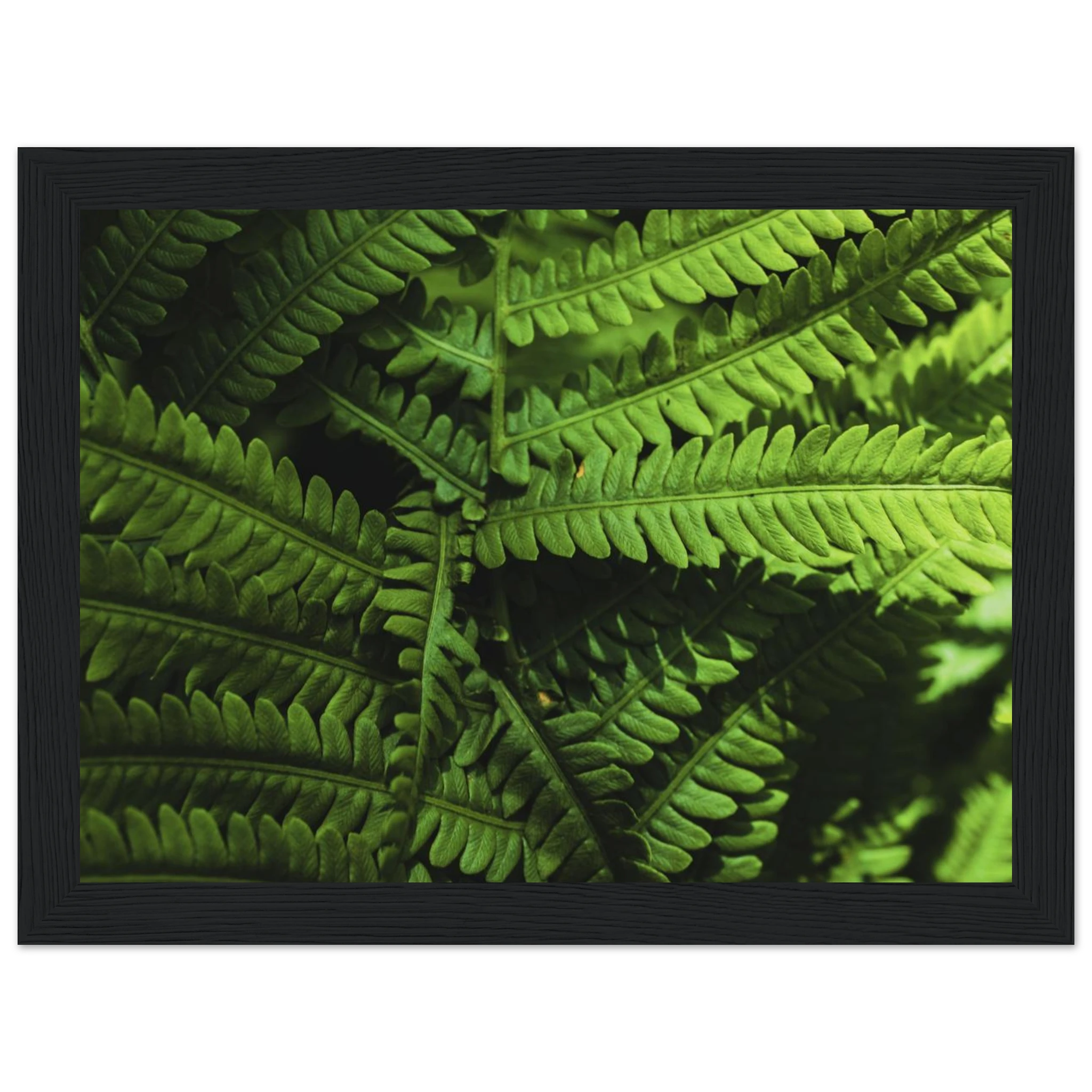 5a0ec393-5bf5-4ecb-ac94-268077e1a162