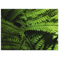 5a8dcac6-4e5a-44e9-83ed-6c43253bccb5