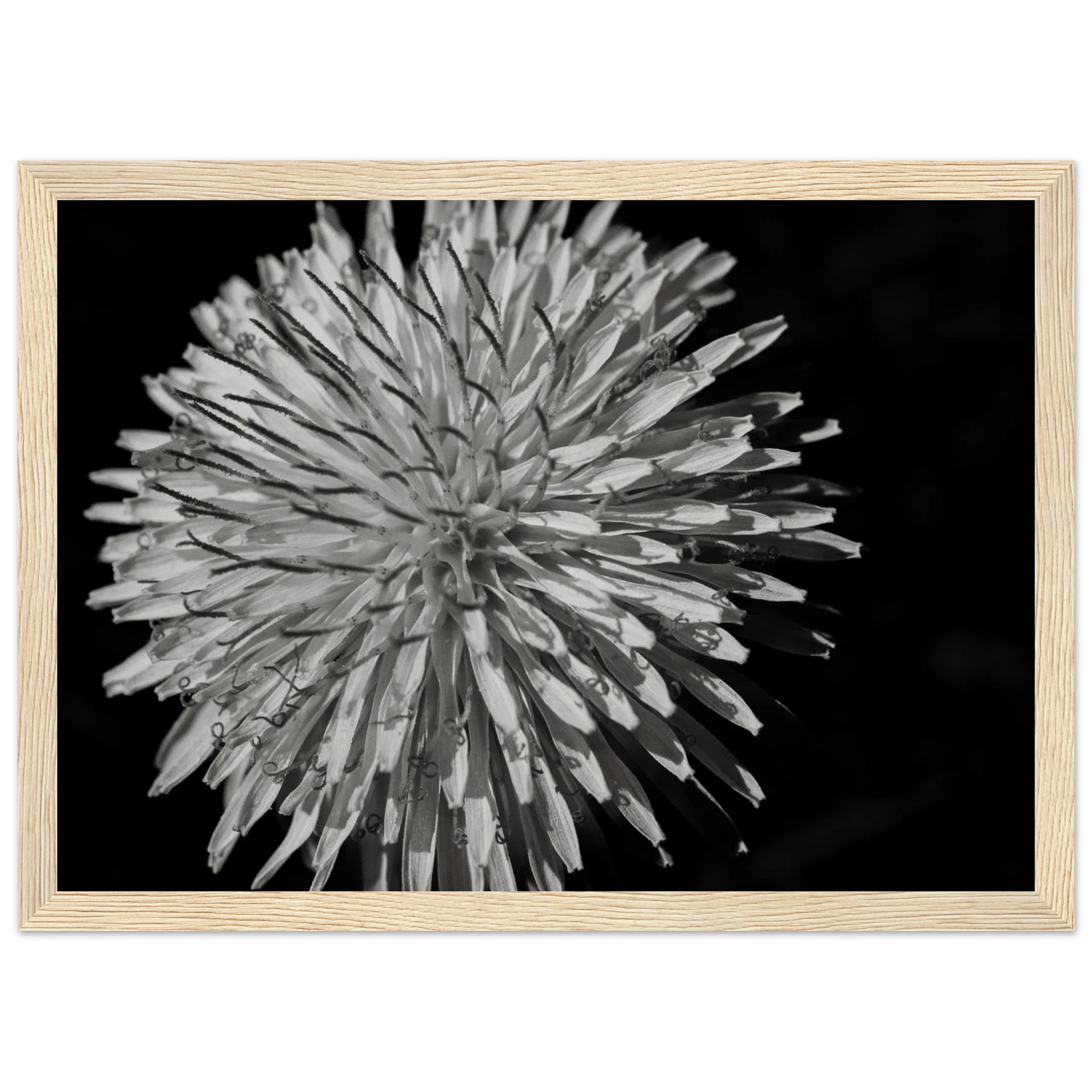 5af37d46-605b-4517-be0a-5be00cfa4b42