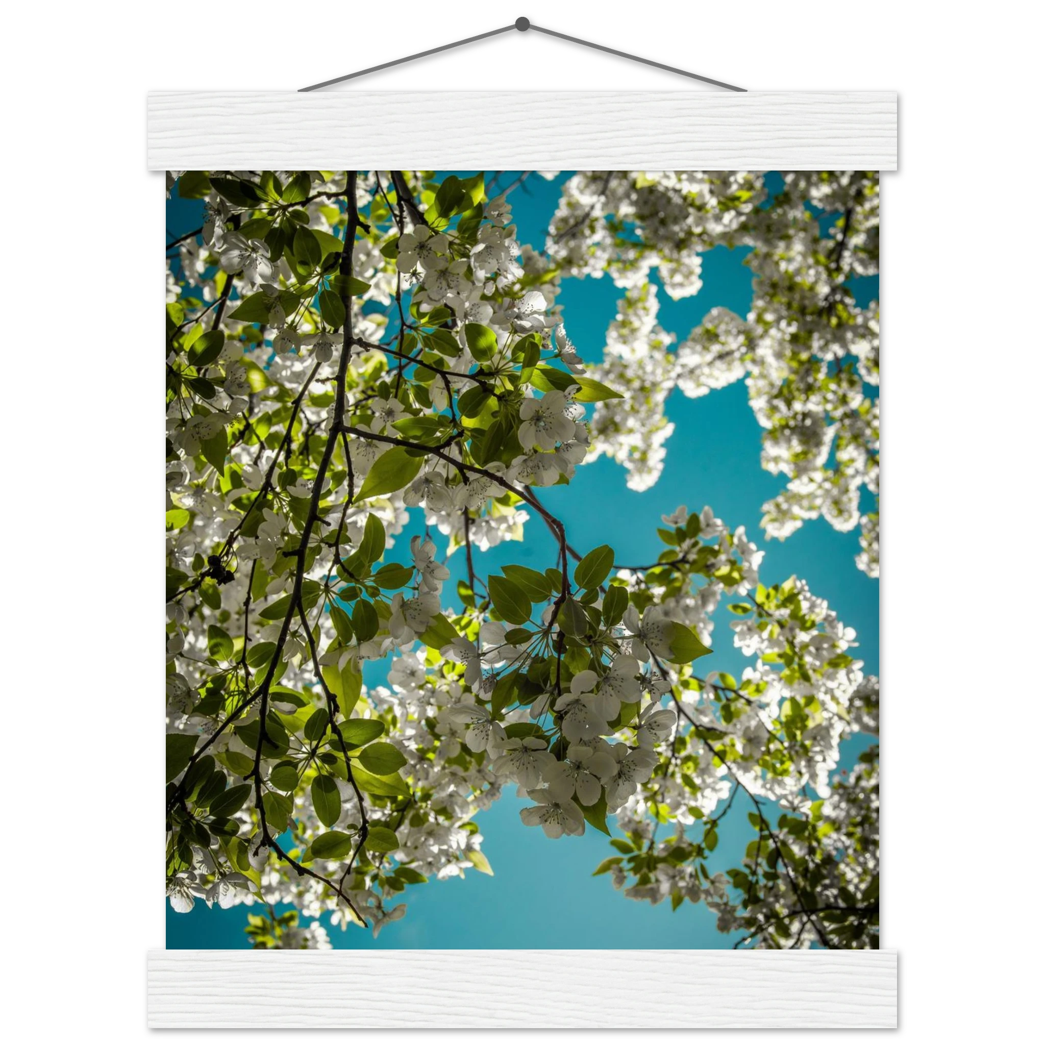 5b4620f5-fd4e-41cc-b477-cd277778bc9f