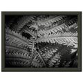 5d3d06c1-4869-4bb4-a77e-8674a223a4e4