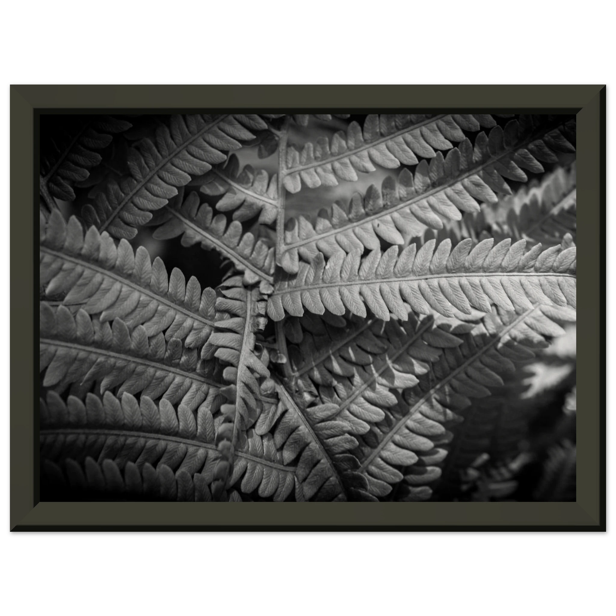 5d3d06c1-4869-4bb4-a77e-8674a223a4e4