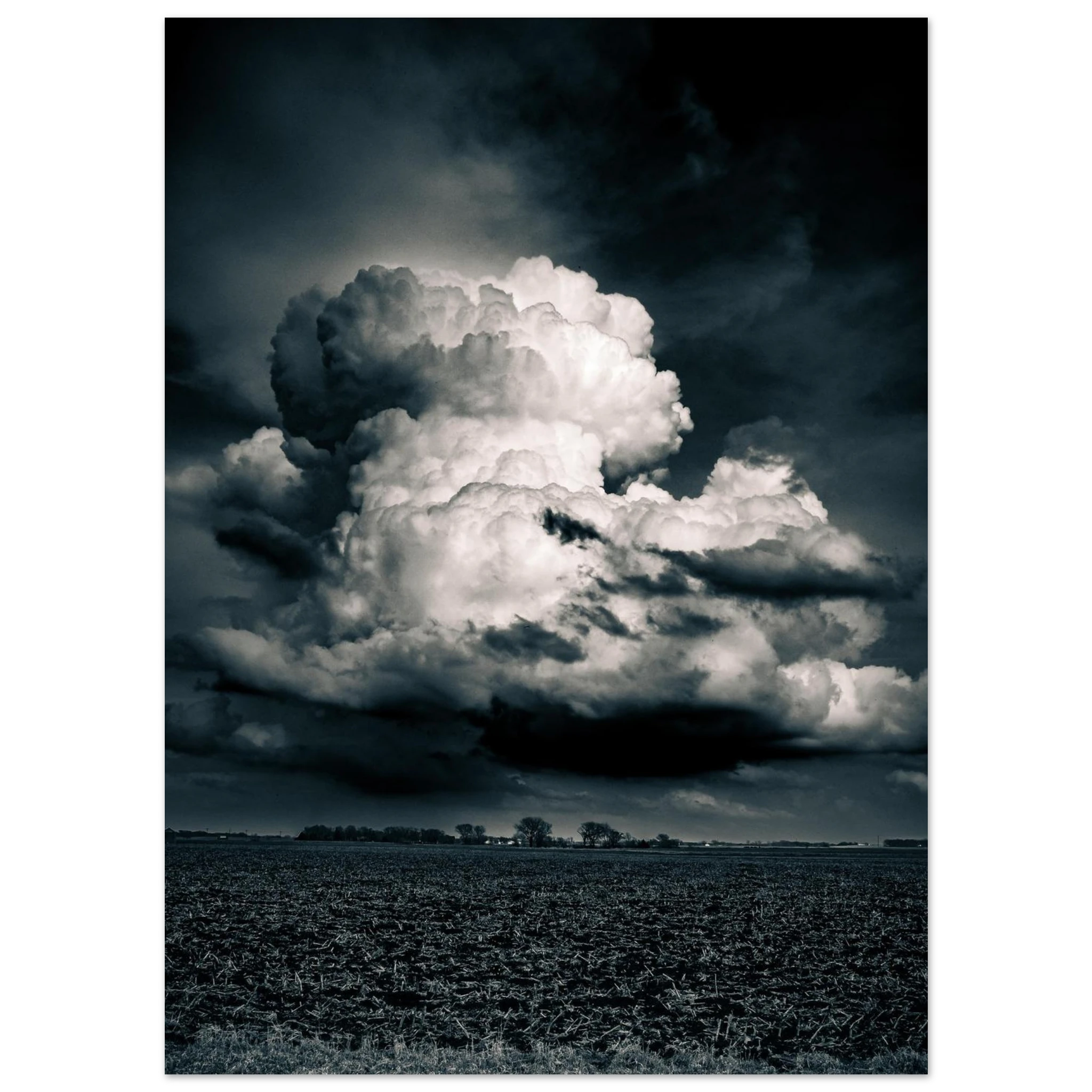 5e1c50bd-2666-4fa0-834f-992645f57bba