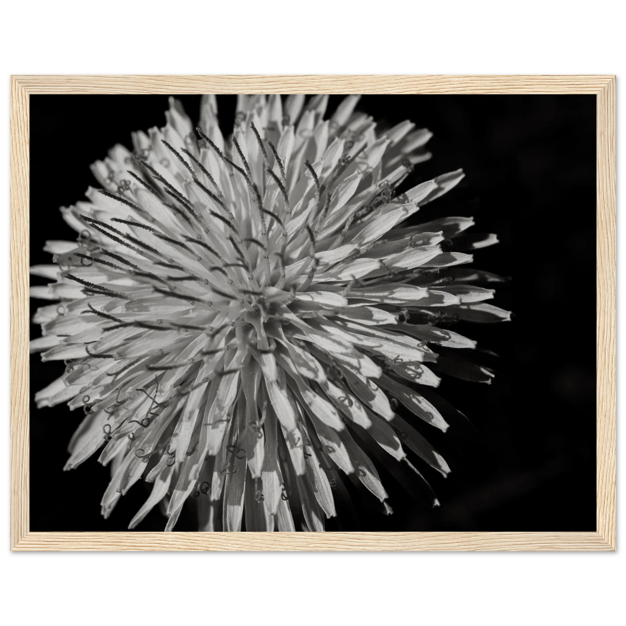 5e2bdcf5-9c87-4256-aa74-c3807ab62bfd