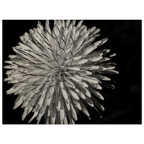 5fa35480-7890-472a-98f0-c189d2ab29be