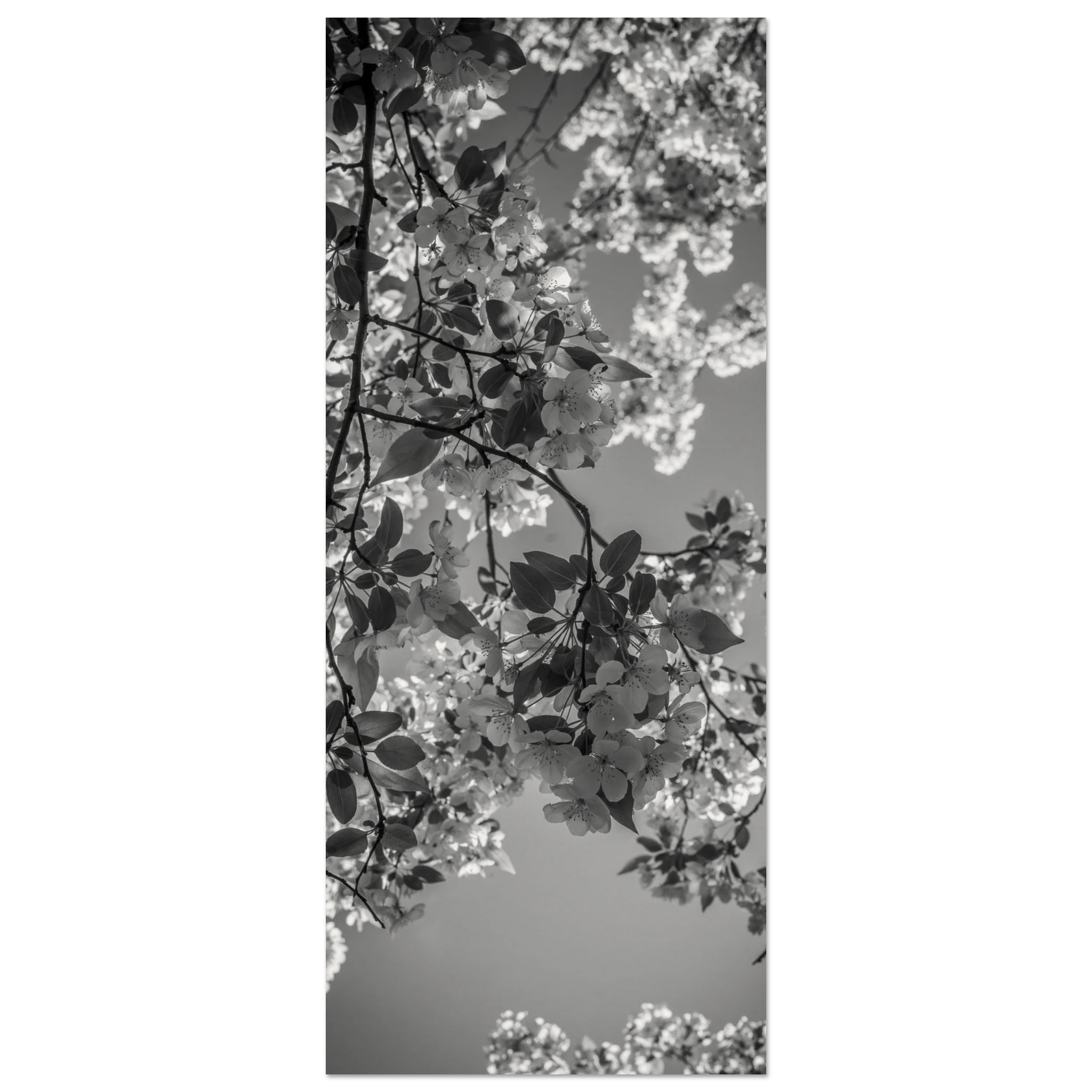 62493372-e47d-4ad6-b128-0fc291a40318