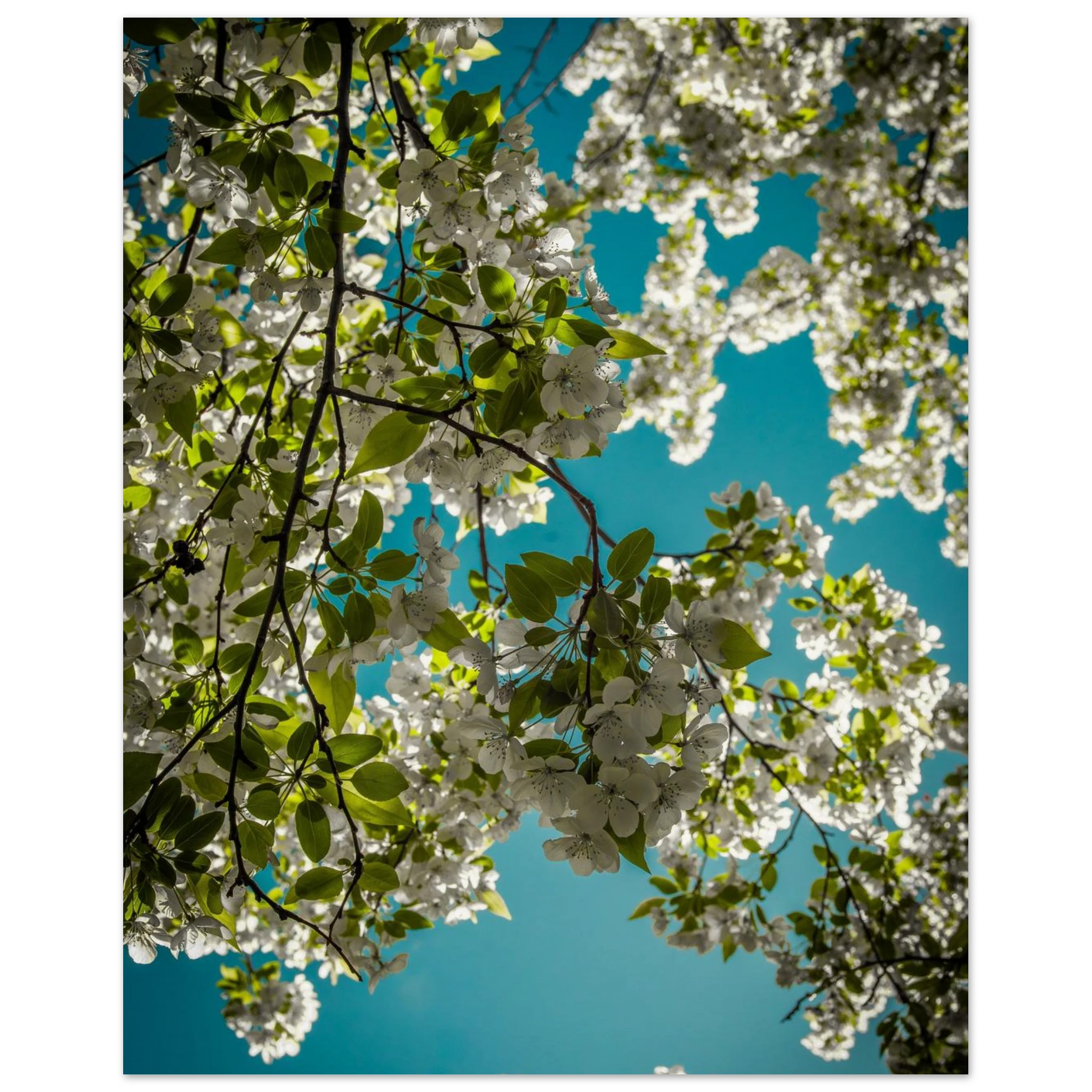 63b93539-f184-4202-a8f7-ce946cdb4667