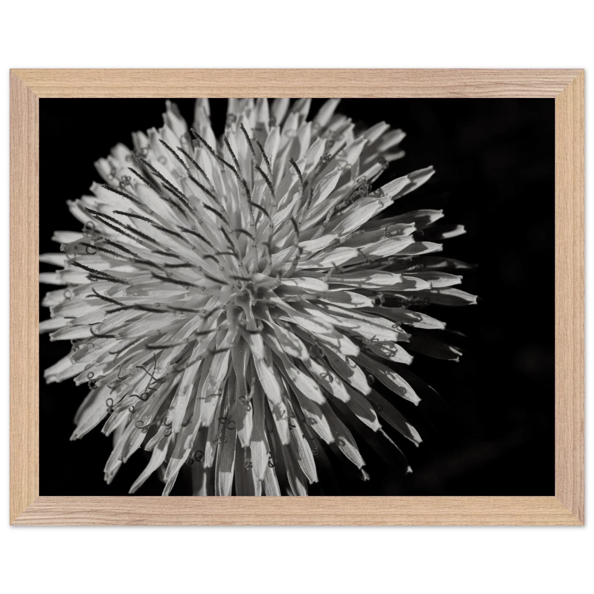6590632a-6c10-4d8f-b79b-82b06c093e76