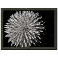 65eb50d3-b2d0-441d-ad34-6854185c0134