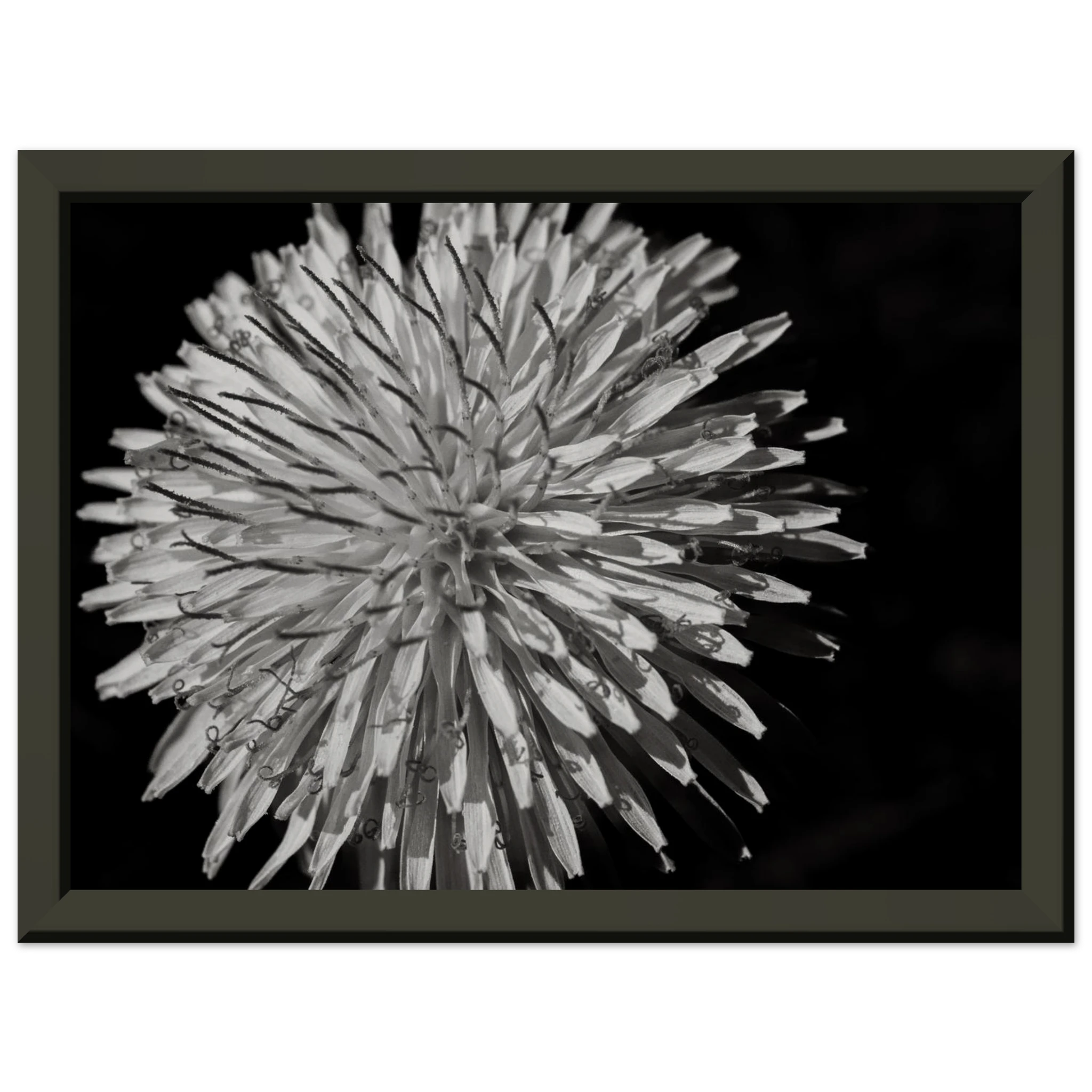 65eb50d3-b2d0-441d-ad34-6854185c0134