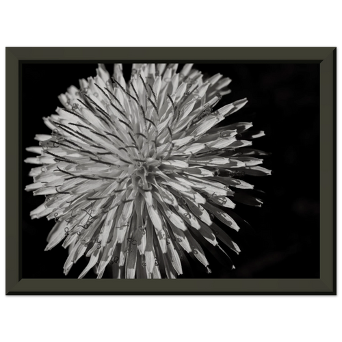 65eb50d3-b2d0-441d-ad34-6854185c0134