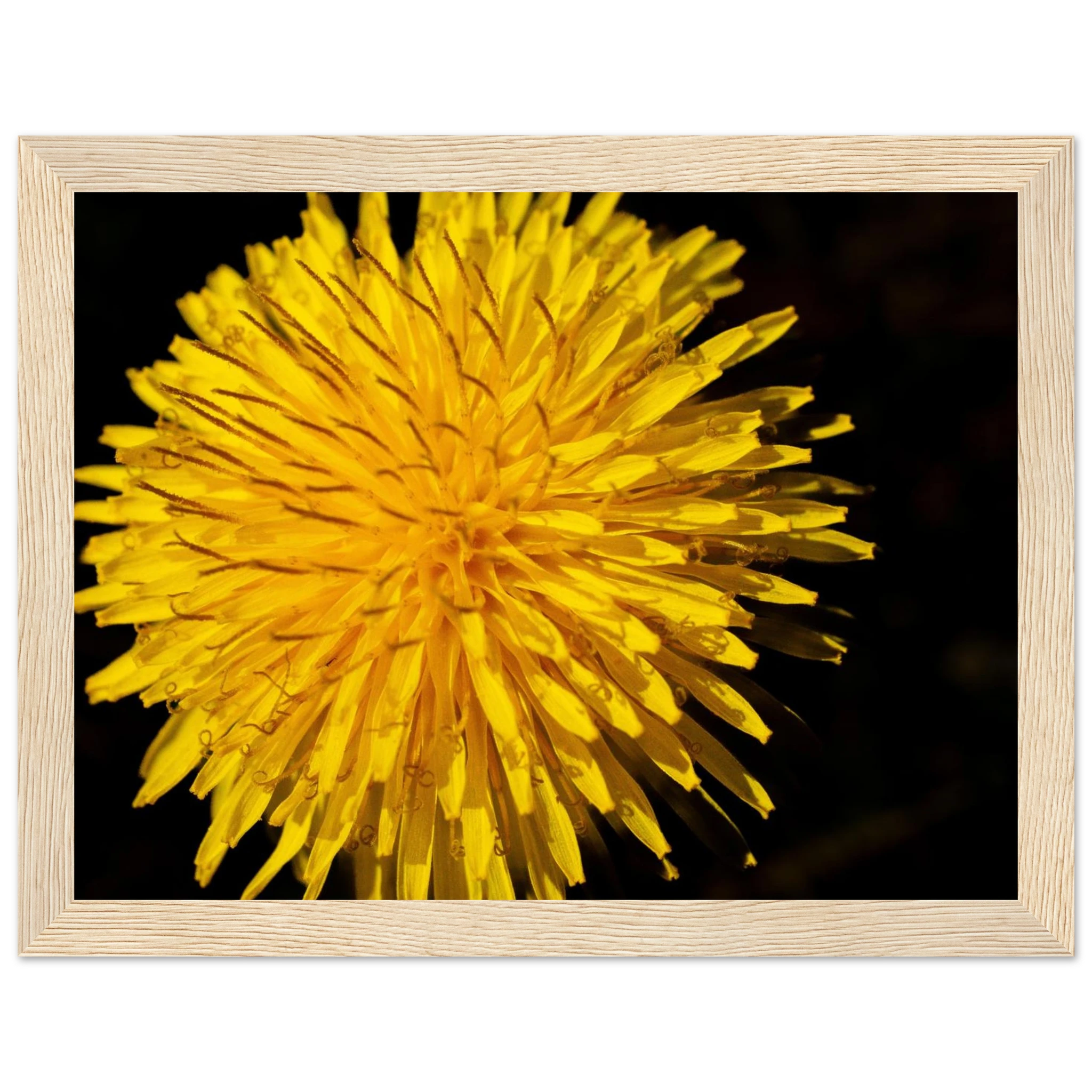 66060829-9eb8-40fc-b2f2-f77f6c8fc67b