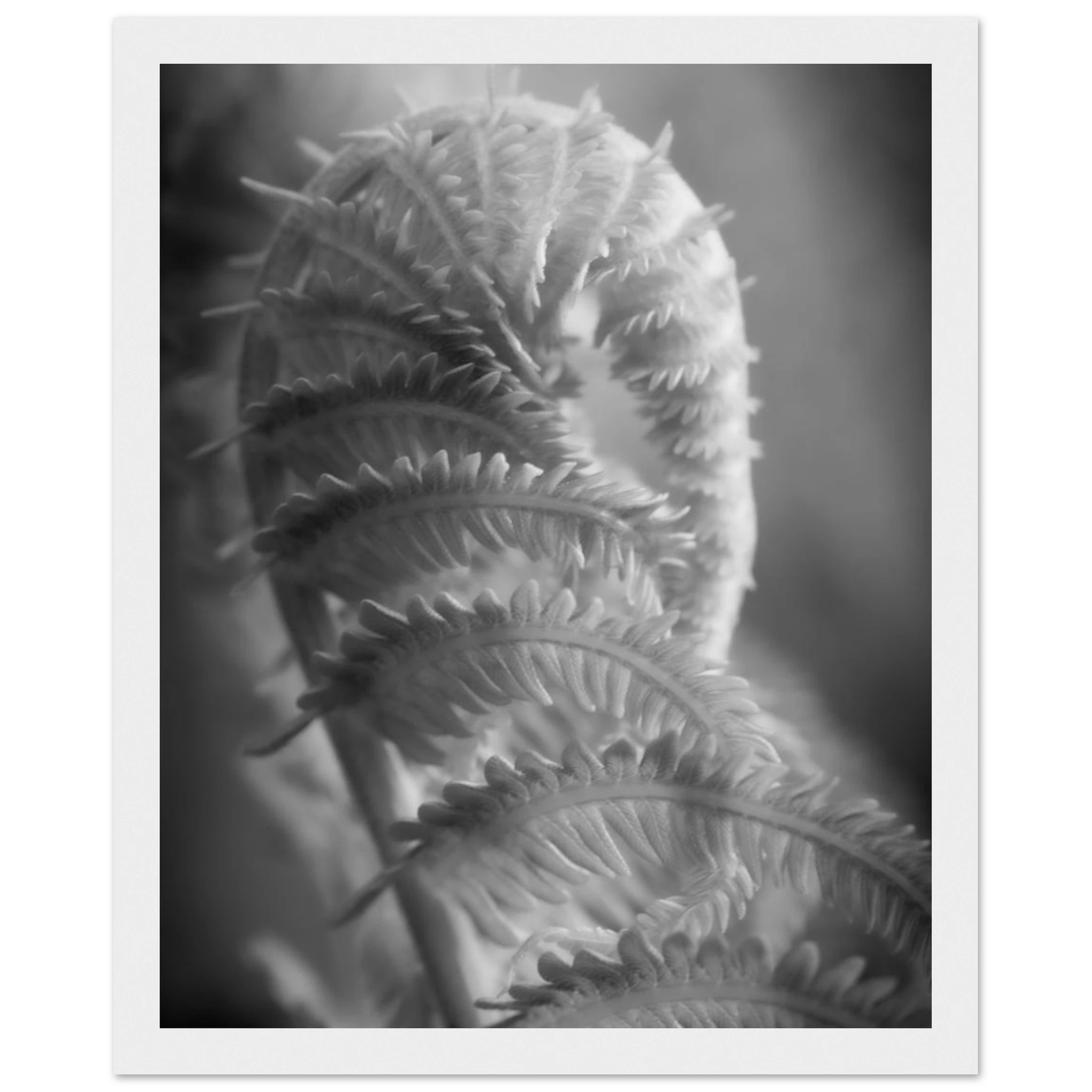 66de18b3-ce55-4227-a384-54f3e74d49f2