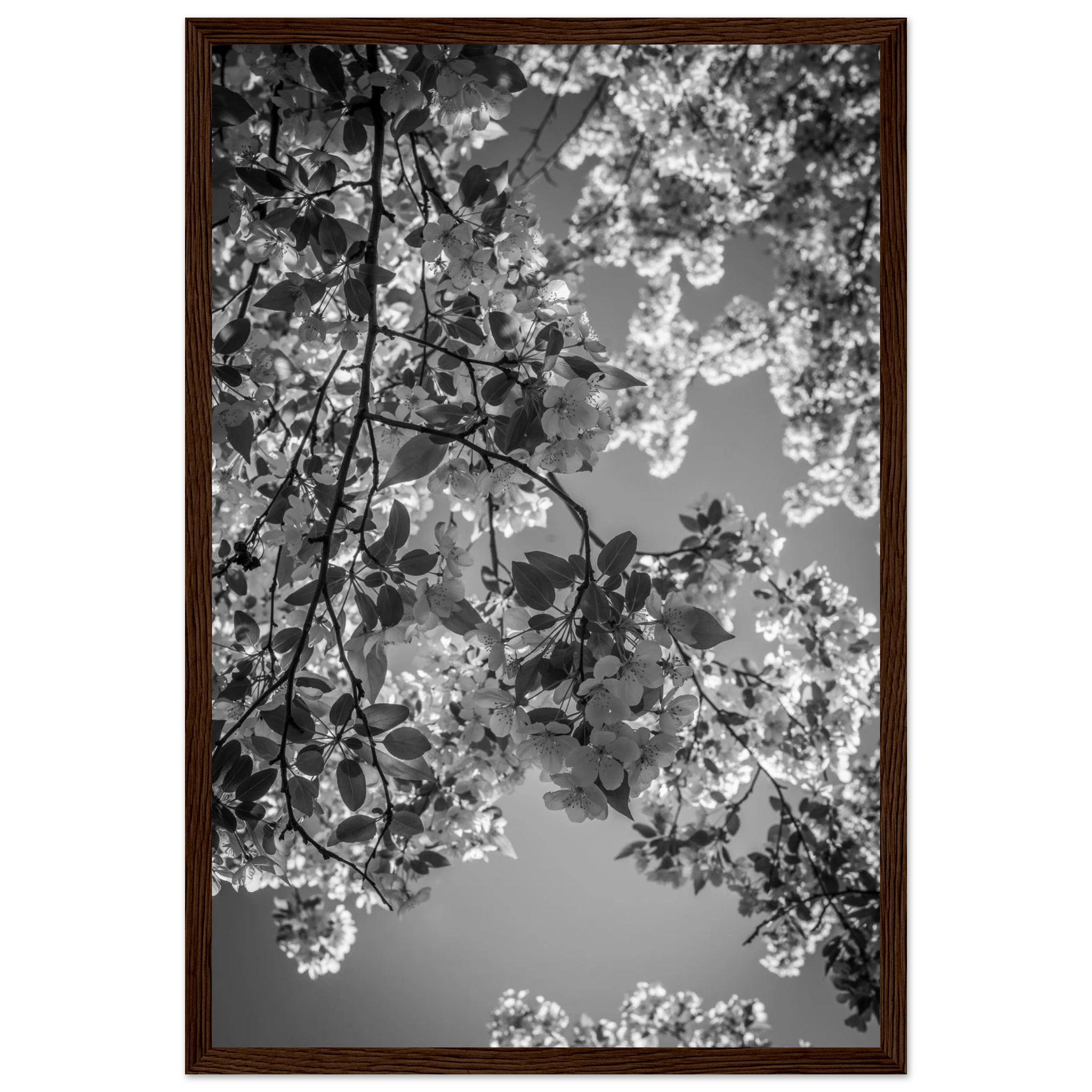 67428763-5c76-4cbb-9702-631b1b394301