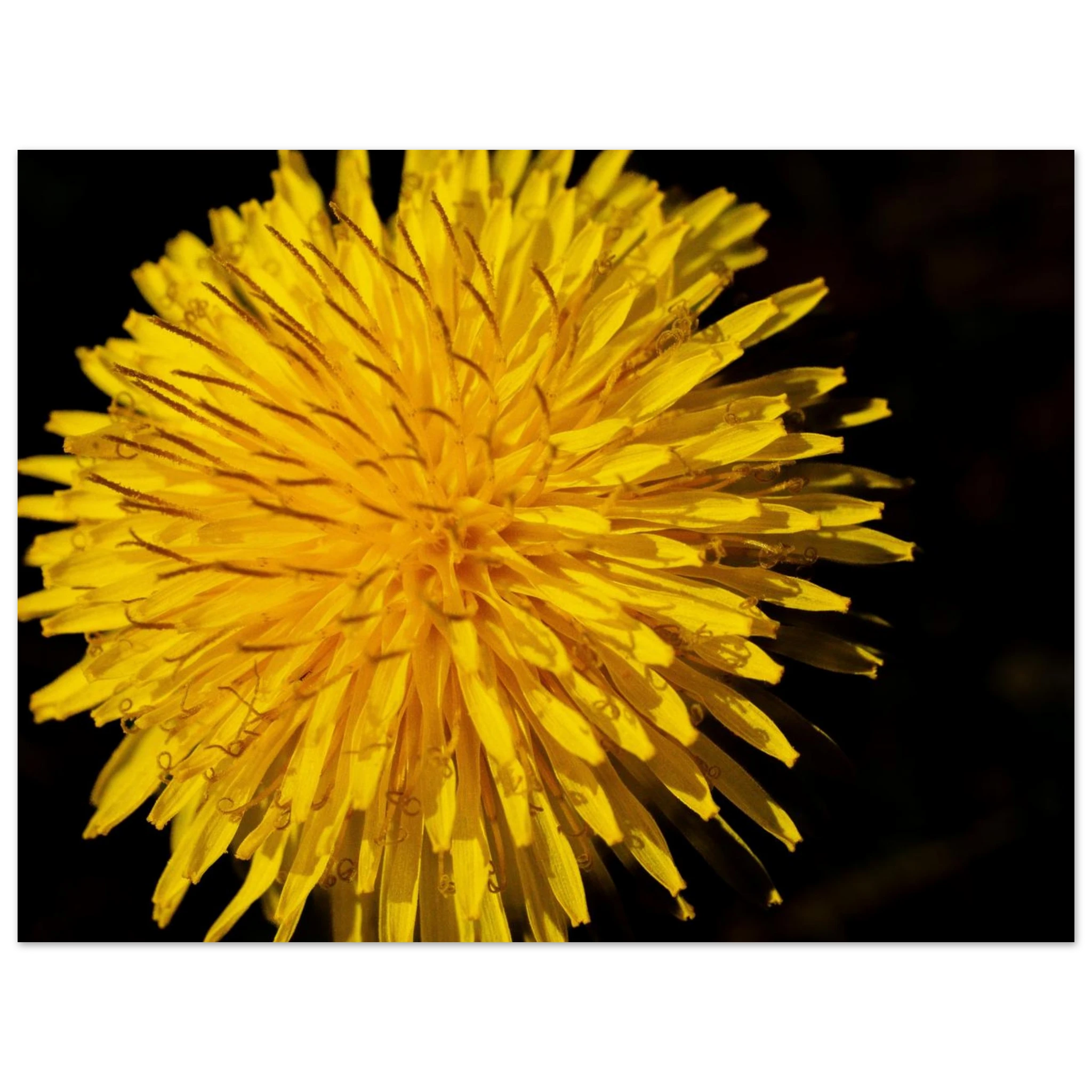 6b840ff3-03e3-475f-947c-fc2080b17588