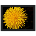 6bd5c62d-b3cc-49da-8c64-859d20be6a22