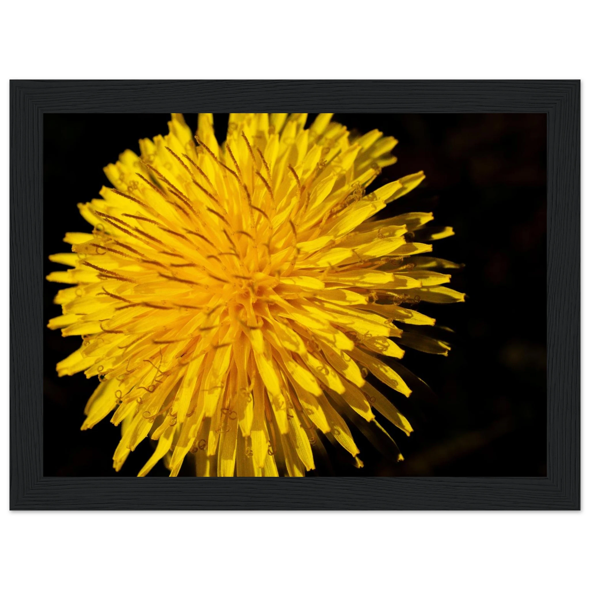 6bd5c62d-b3cc-49da-8c64-859d20be6a22