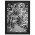 6c008d79-2f9a-40cd-968a-eb5590abbde2