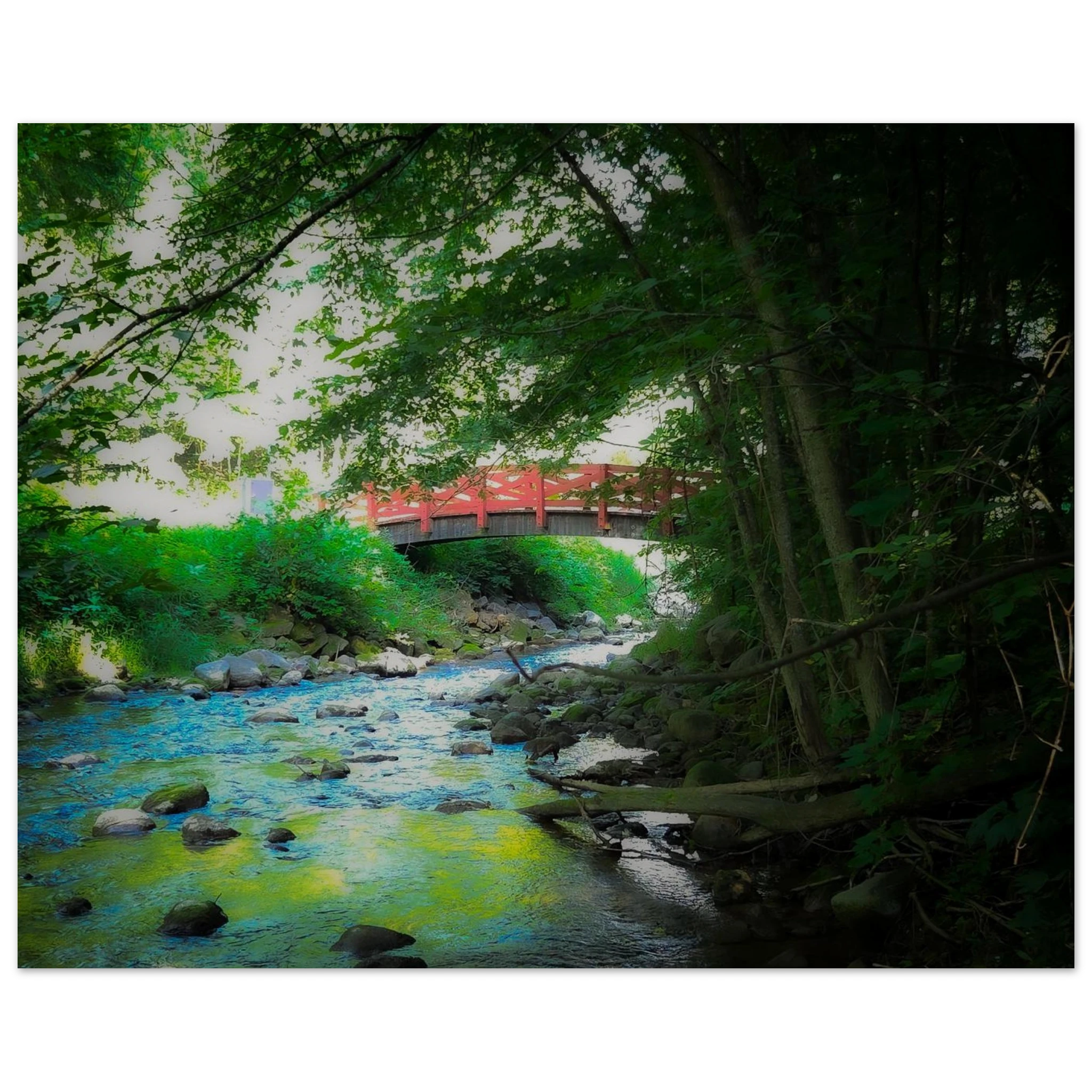 6cf994ab-623a-4f18-9059-621c5026b4f8