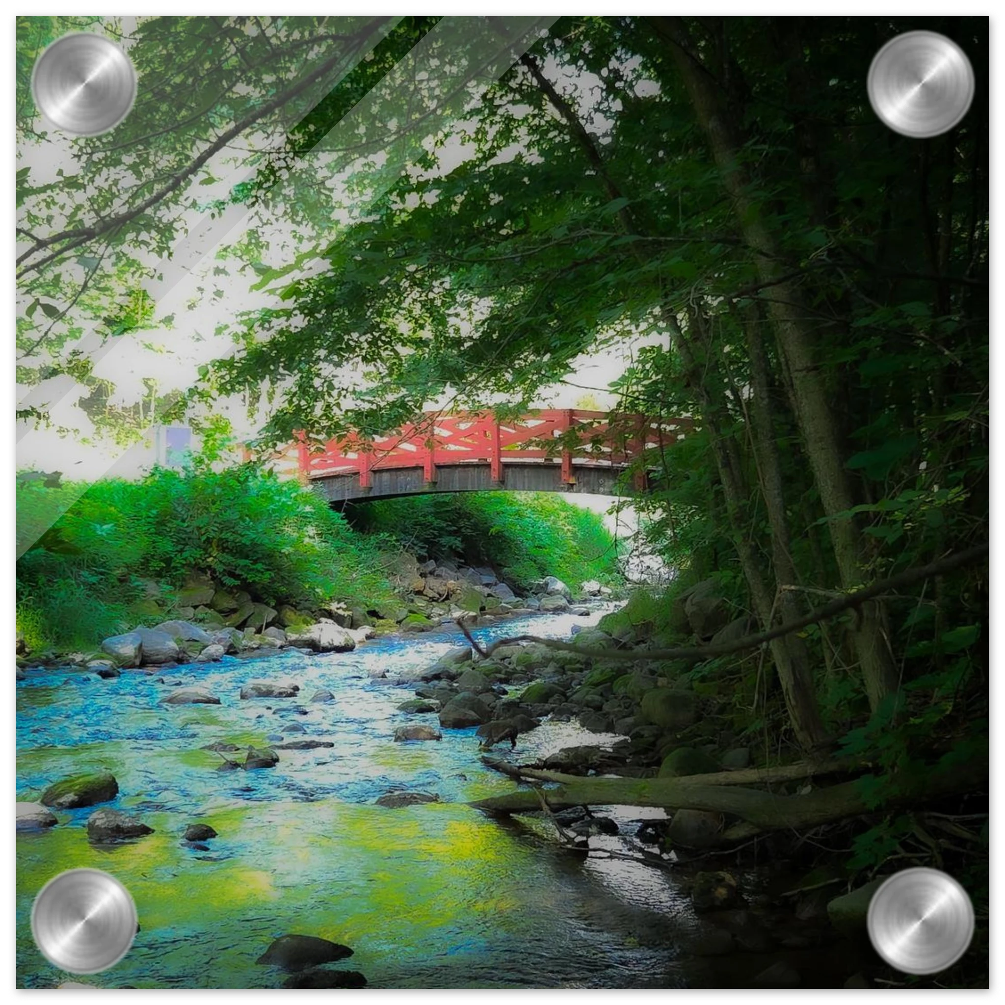 6d2dd85d-1839-42f6-bb5e-b1a519de95a4