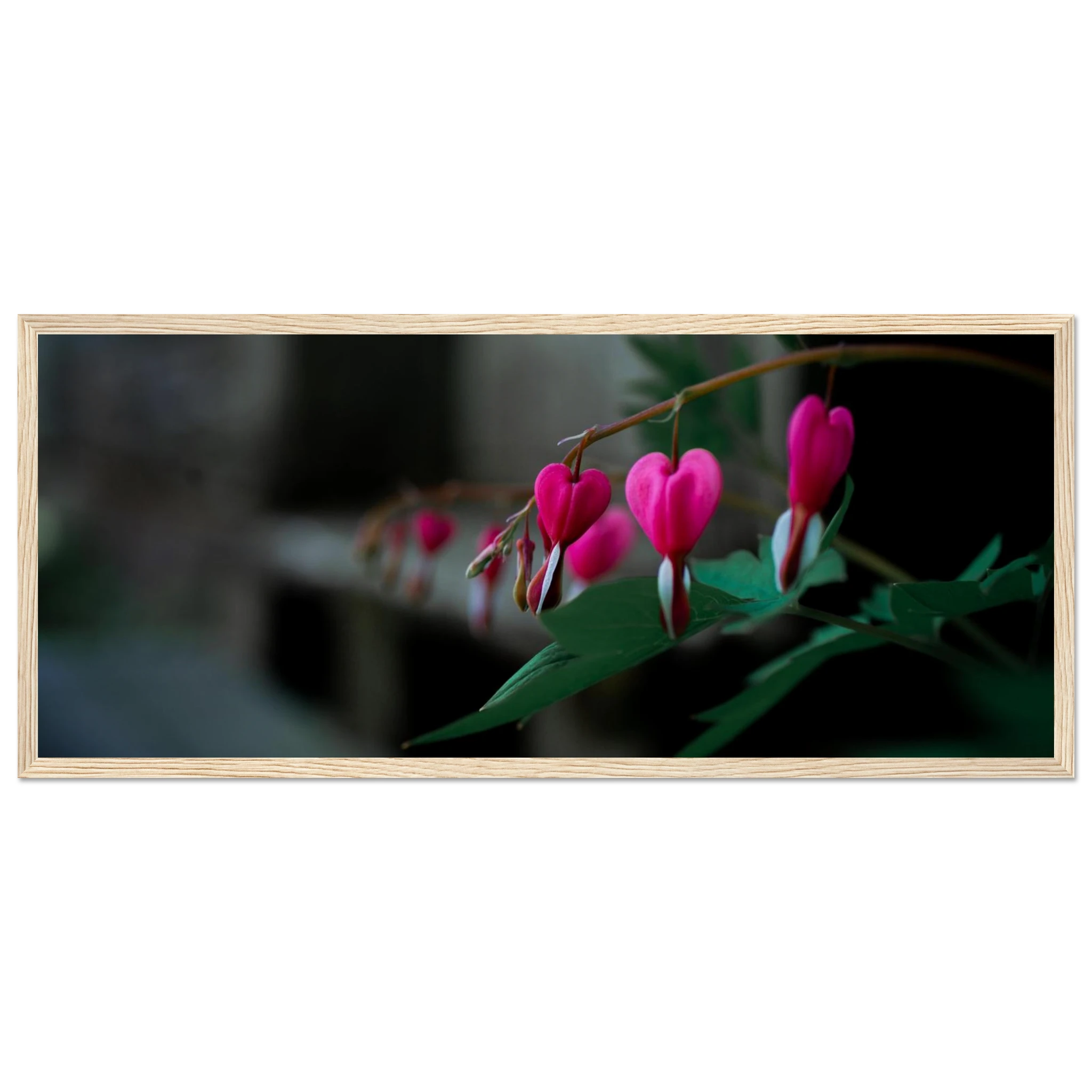 6d5ce64e-4c5d-4ce9-bcd1-5d8277f7e3e0